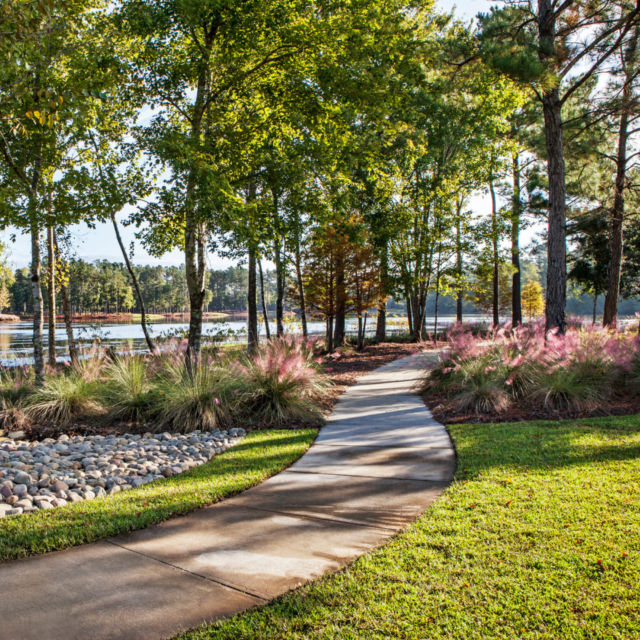 As part of the East Edisto master planned community, Pine Hill Business Campus leverages its lowcountry setting to differentiate itself from other office parks in the region. The campus embraces the natural landscape through a vegetated arrival sequence, signature park, and series of walking trails to draw in visitors and employees. Learn how we set the tone for Pine Hill Business Campus as an oasis and outdoor respite at the link in bio. #LDProjects