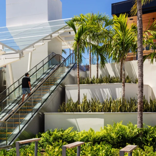 Shade. Texture. Biodiversity. At @EsplanadeAventura, 82,000 sq ft of tropical landscapes and hundreds of palms and canopy trees form an immersive environment that engages every sense. By blending preservation with purposeful design, the project sets new standards for climate-responsive retail spaces. #LDProjects