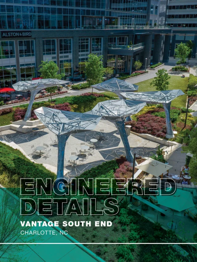 Beneath Vantage South End's courtyard is an engineering system designed to perform as seamlessly as the space above it. Permeable surfaces, concealed drainage infrastructure, and planted areas work together to manage rainfall where it lands, supporting a landscape that functions as well as it looks.