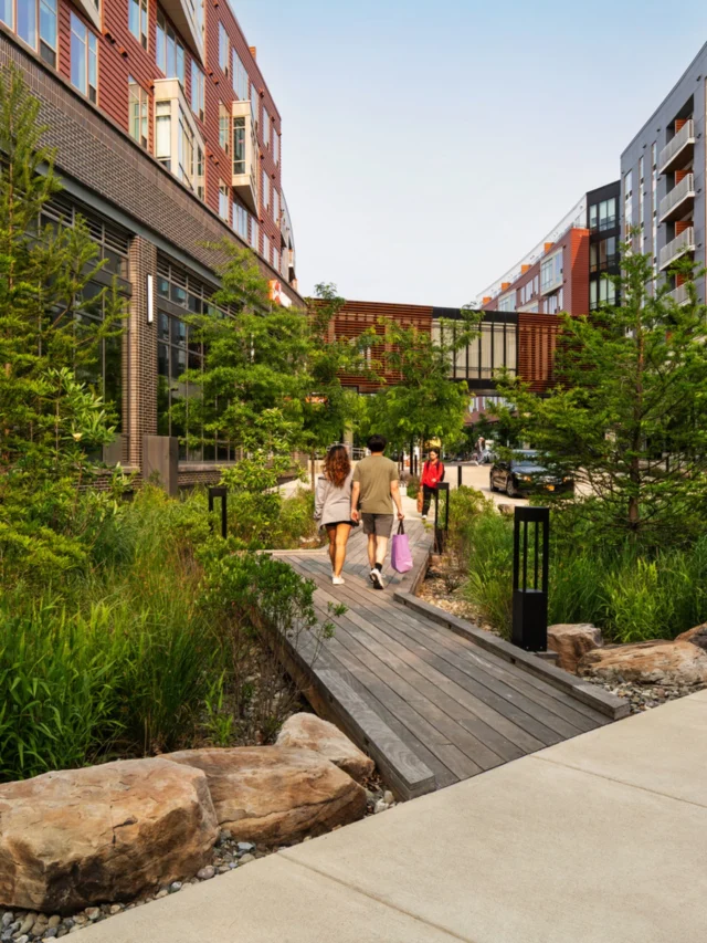 A sense of community grows in the spaces that connect home to the neighborhood. At Aster in College Park, MD, a streetscape links the development to the surrounding community, while a garden zone and elevated courtyard bring nature into residents’ daily routines. The variety of distinct outdoor spaces work together to form a cohesive residential experience. #LDProjects

@AsterCollegePark